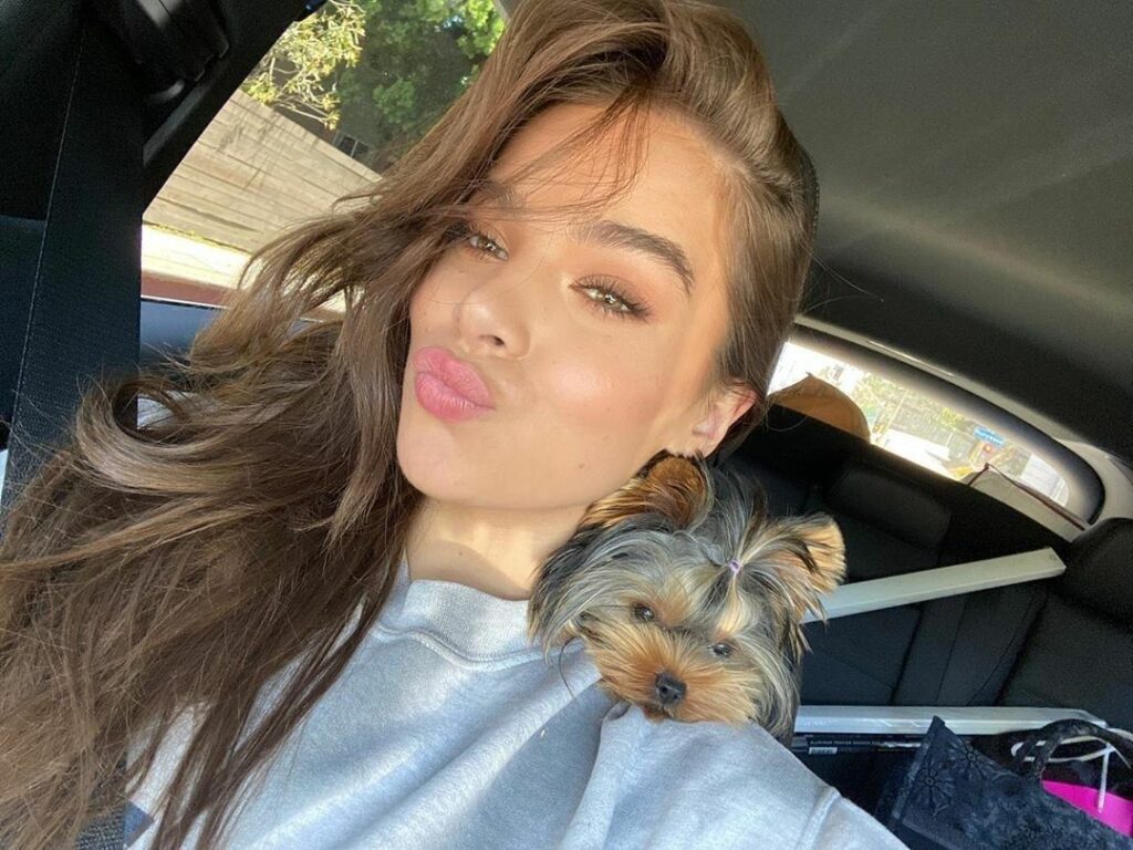 Hailee Steinfeld Biography, Age, Career, Net Worth & Facts 2026
